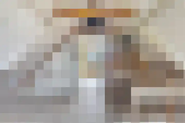 Mulseleane 28 Berltsum thumbnail 40