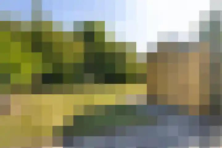 Mulseleane 28 Berltsum thumbnail 44