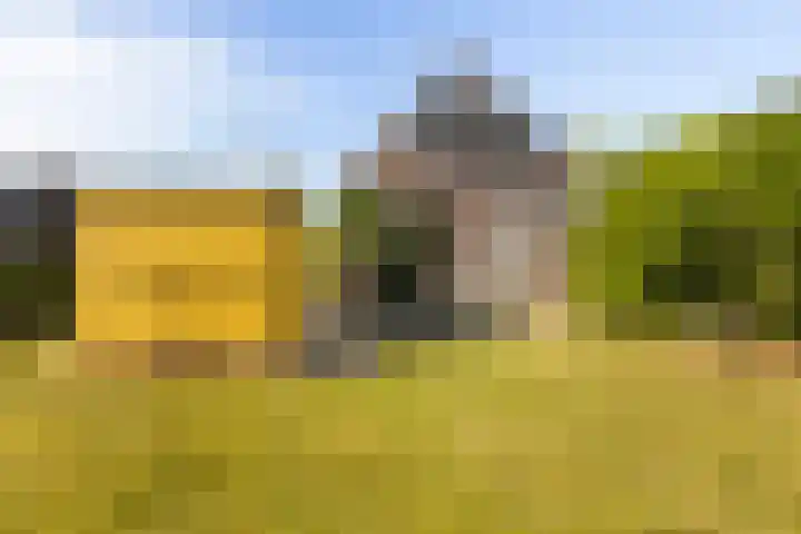 Mulseleane 28 Berltsum thumbnail 45