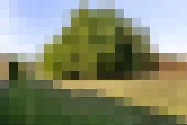 Mulseleane 28 Berltsum thumbnail 46