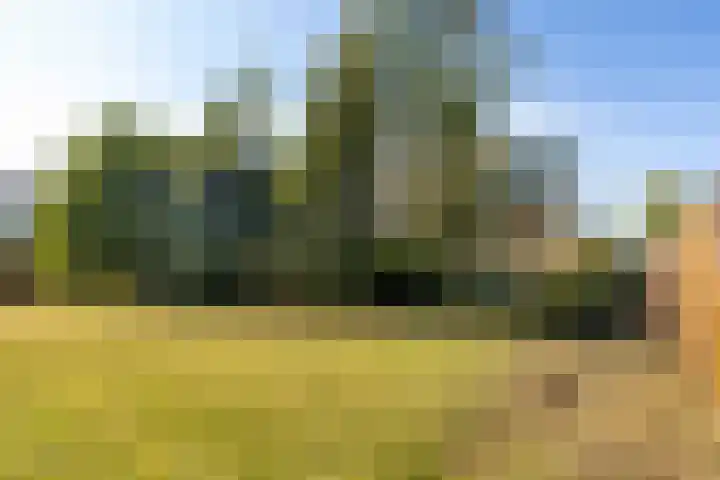 Mulseleane 28 Berltsum thumbnail 47