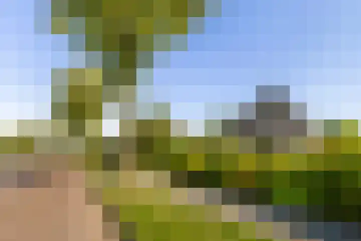 Mulseleane 28 Berltsum thumbnail 50