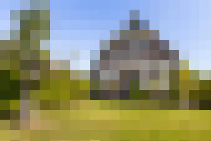Mulseleane 28 Berltsum thumbnail 51