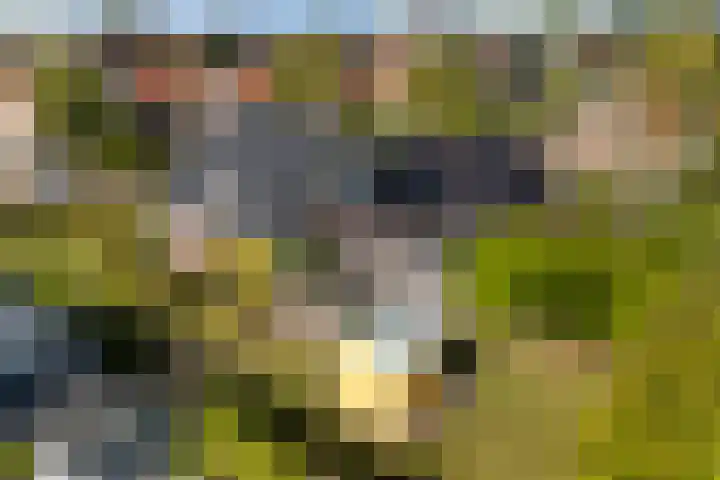 Mulseleane 28 Berltsum thumbnail 52
