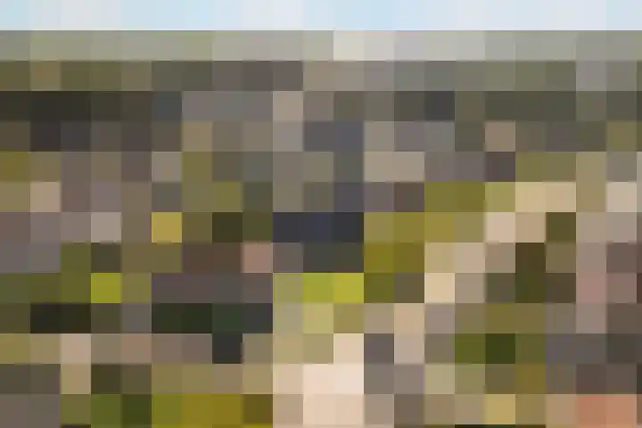 Mulseleane 28 Berltsum thumbnail 54