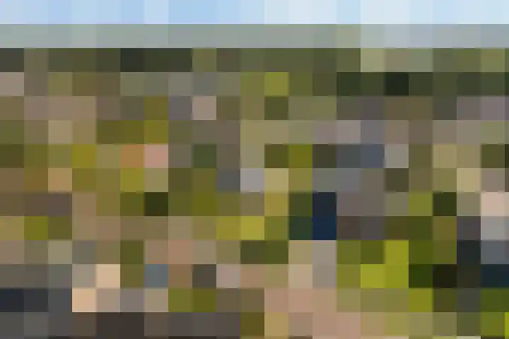 Mulseleane 28 Berltsum thumbnail 56