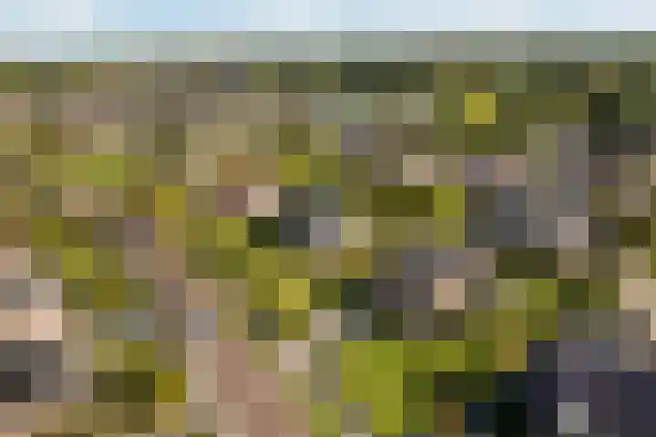Mulseleane 28 Berltsum thumbnail 57