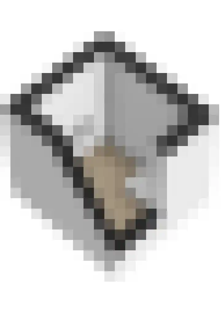 Mulseleane 28 Berltsum thumbnail 65