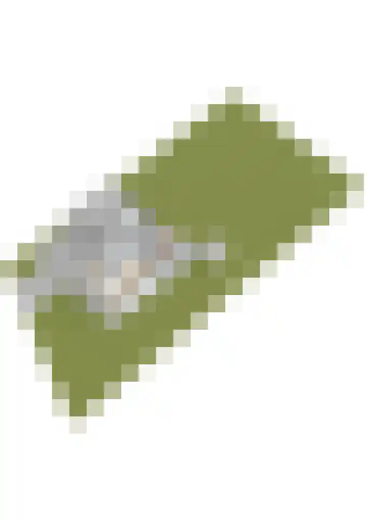 Mulseleane 28 Berltsum thumbnail 69