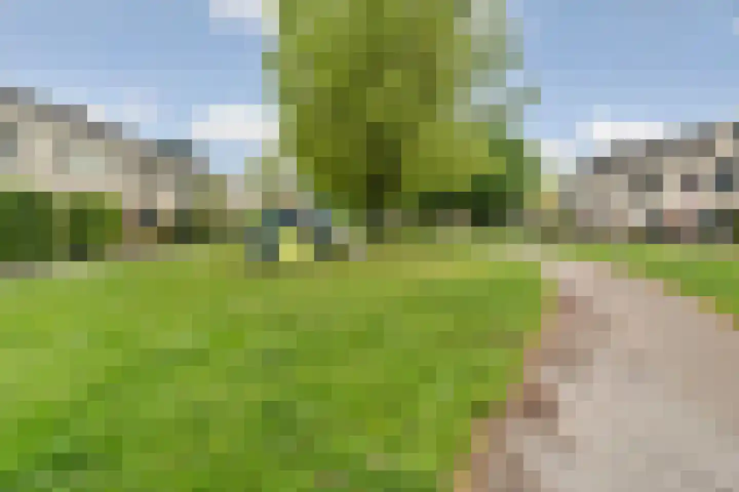 Multatulihof 12 Arnhem thumbnail 46