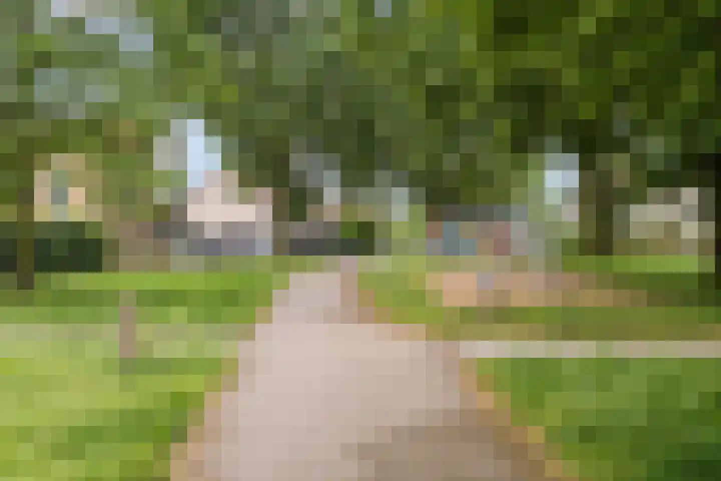 Multatulihof 12 Arnhem thumbnail 47