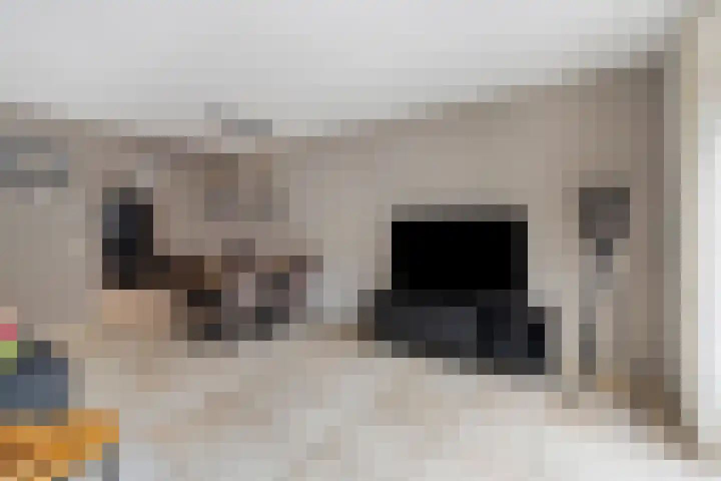 Multatulihof 12 Arnhem thumbnail 5