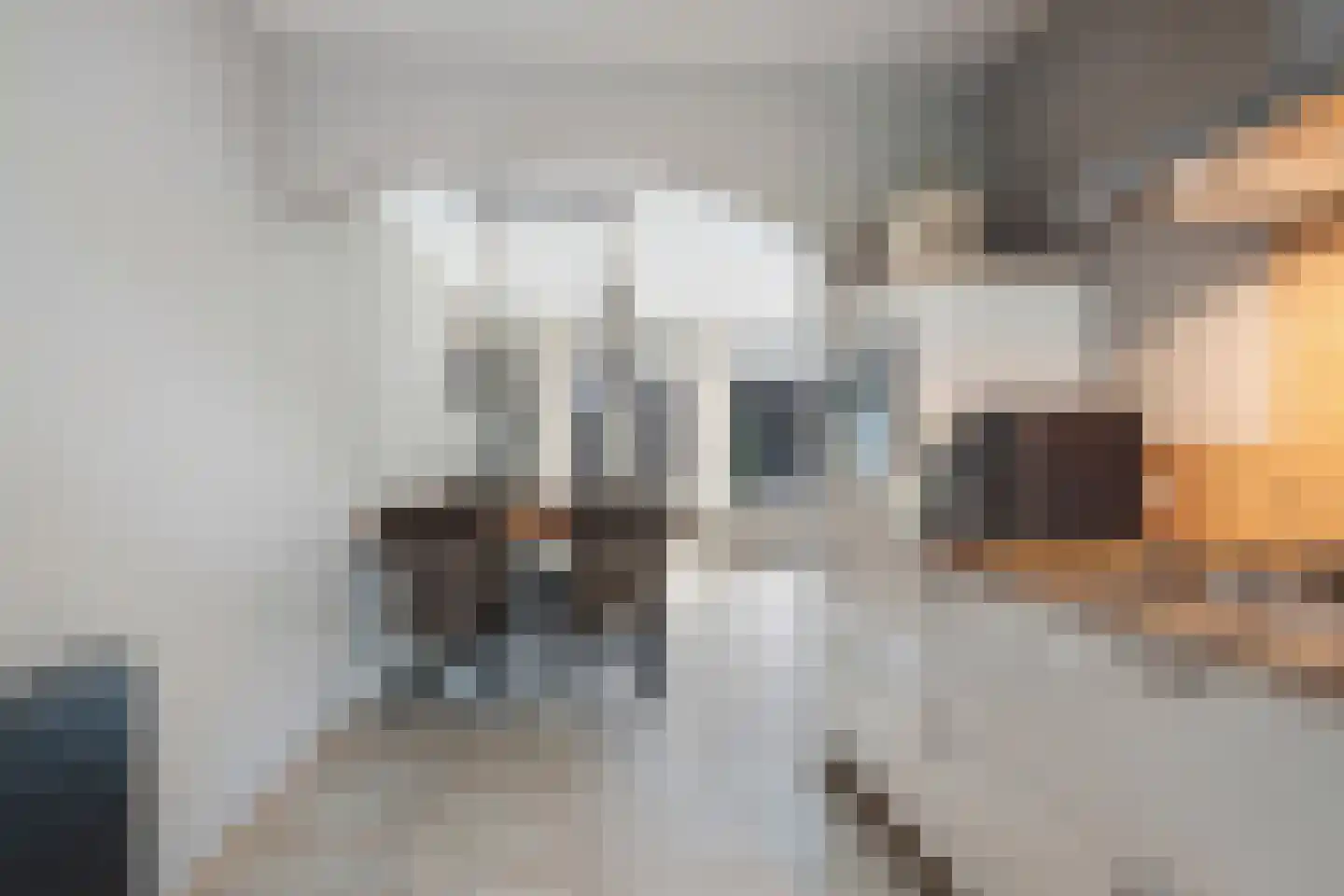 Multatulihof 12 Arnhem thumbnail 9