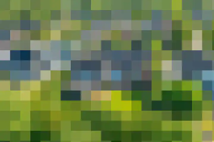 Multatulihof 38 Gendringen thumbnail 27