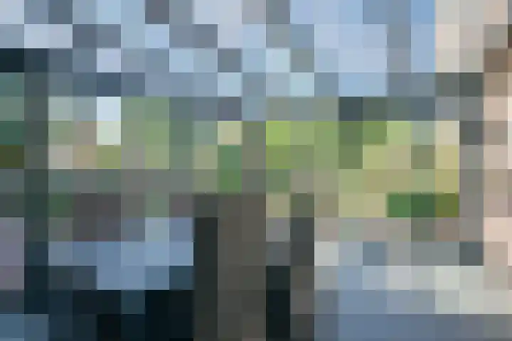 Multatulihof 38 Gendringen thumbnail 30
