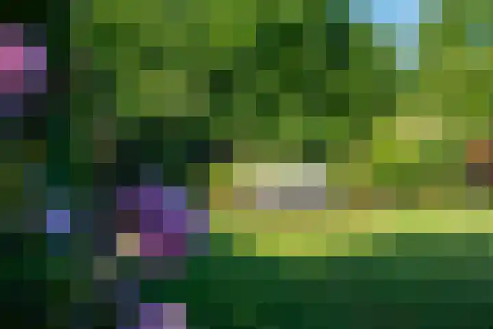 Multatulihof 38 Gendringen thumbnail 32