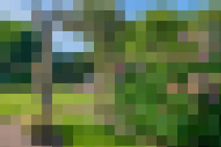 Multatulihof 38 Gendringen thumbnail 33