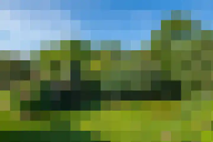 Multatulihof 38 Gendringen thumbnail 34