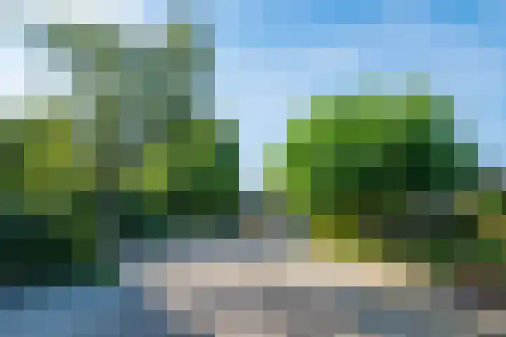 Multatulihof 38 Gendringen thumbnail 38