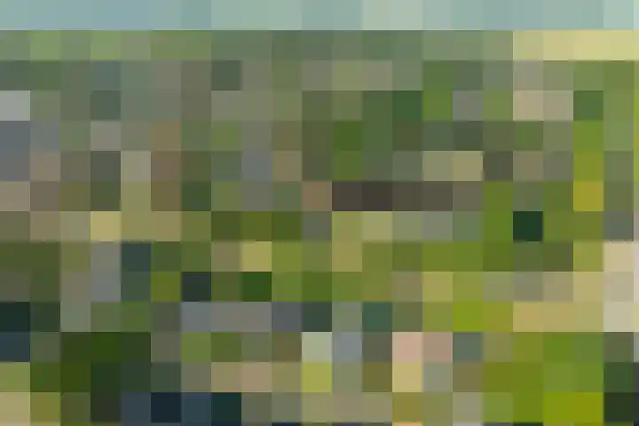 Multatulihof 38 Gendringen thumbnail 39