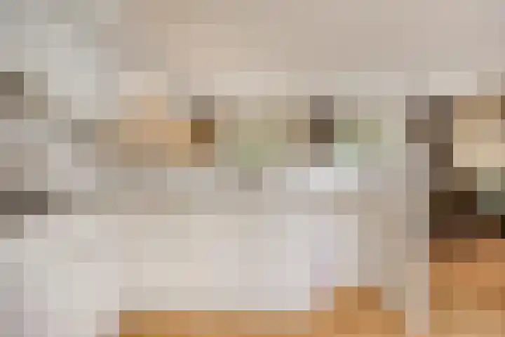 Multatulihof 4 Oss thumbnail 17