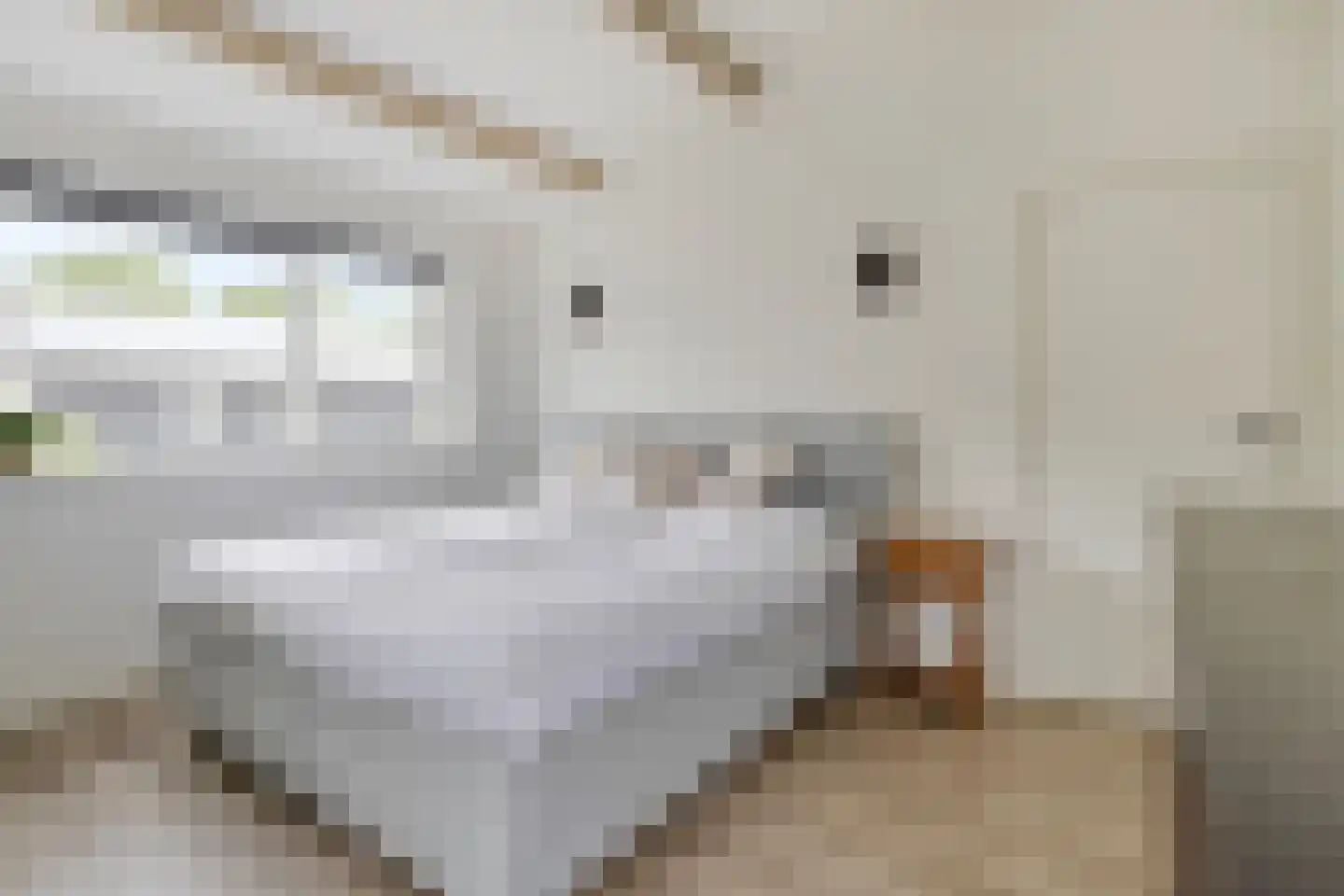 Multatulilaan 1 Vlissingen thumbnail 23