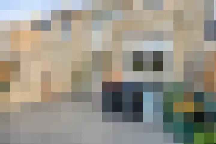 Multatulilaan 11 Roosendaal thumbnail 31