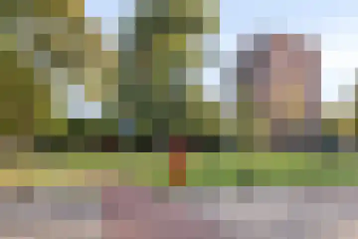 Multatulilaan 11 Roosendaal thumbnail 36