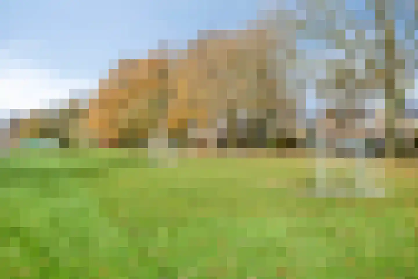 Multatulilaan 12 Haren Gn thumbnail 44