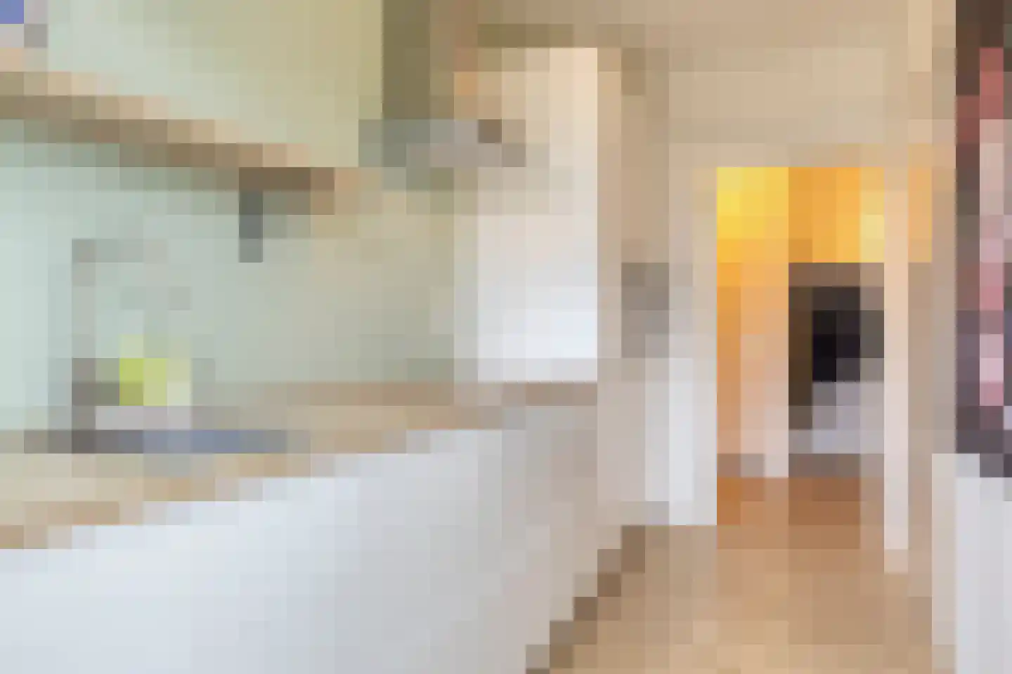 Multatulilaan 18 Haren Gn thumbnail 24