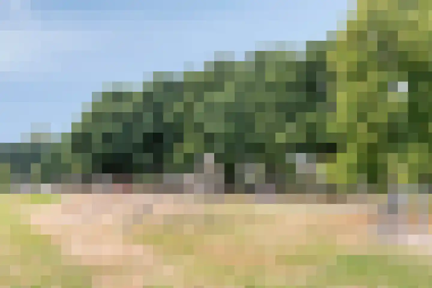 Multatulilaan 18 Haren Gn thumbnail 37