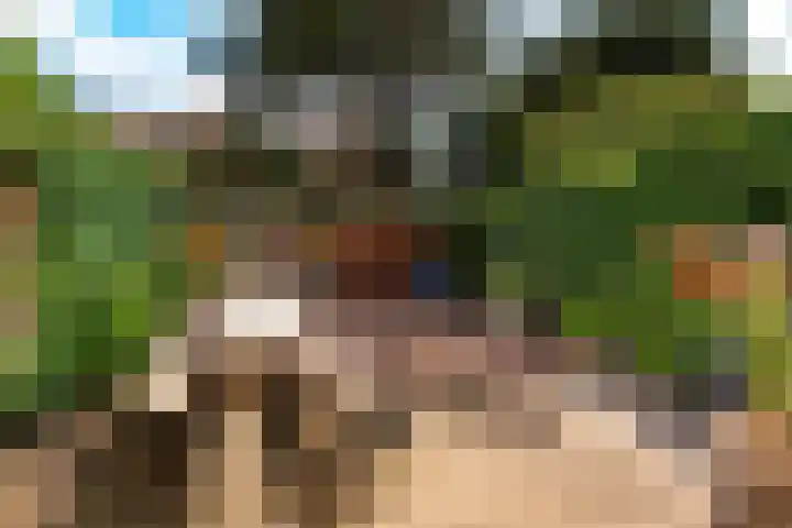 Multatulilaan 19 Hilversum thumbnail 18
