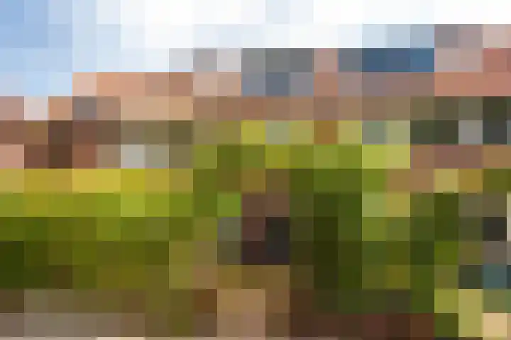 Multatulilaan 19 Hilversum thumbnail 4