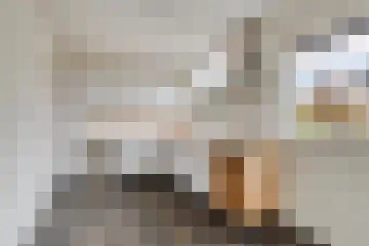 Multatulilaan 19 Roosendaal thumbnail 16