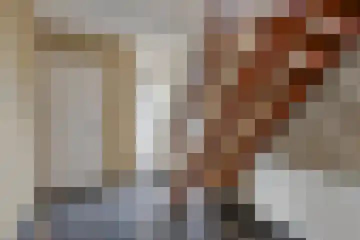 Multatulilaan 19 Roosendaal thumbnail 22