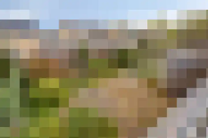 Multatulilaan 19 Roosendaal thumbnail 37