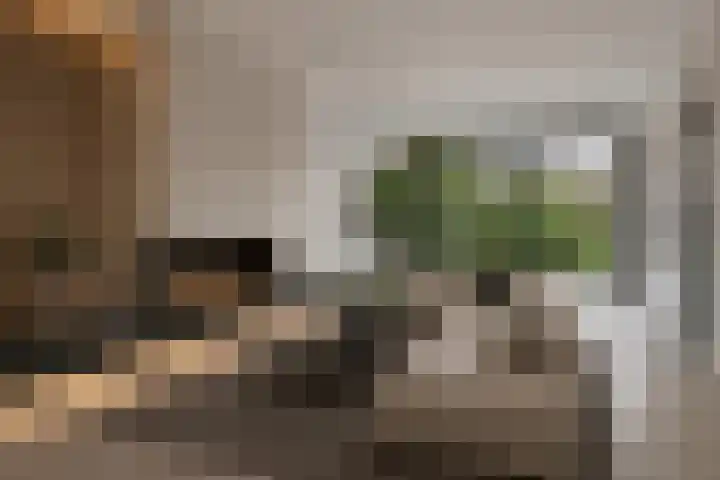Multatulilaan 19 Roosendaal thumbnail 4