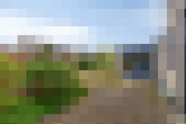 Multatulilaan 19 Roosendaal thumbnail 42