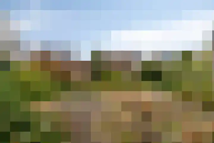 Multatulilaan 19 Roosendaal thumbnail 43