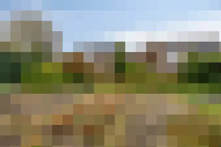 Multatulilaan 19 Roosendaal thumbnail 44