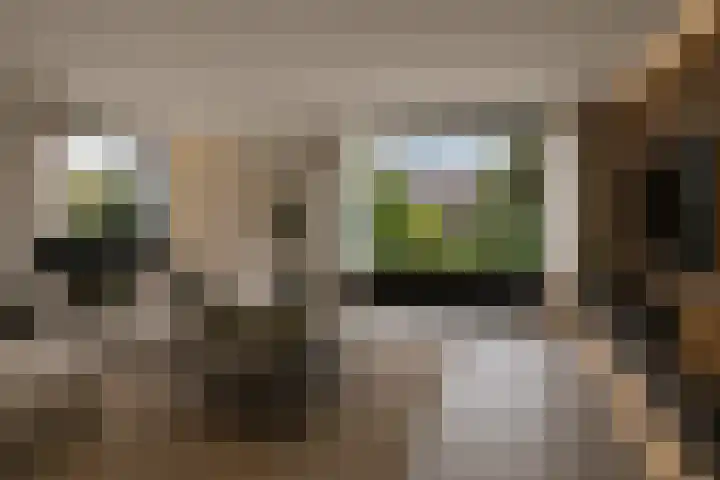 Multatulilaan 19 Roosendaal thumbnail 6