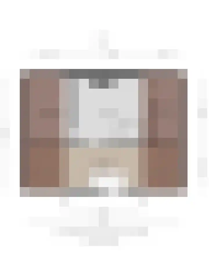 Multatulilaan 19 Roosendaal thumbnail 60