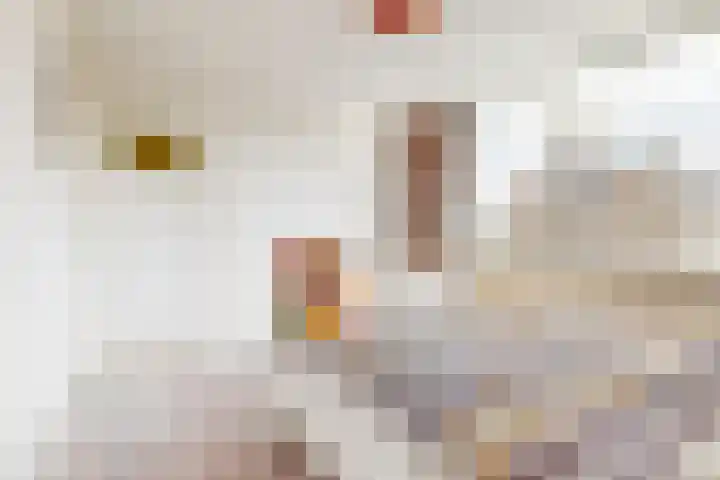 Multatulilaan 3 Uithoorn thumbnail 14