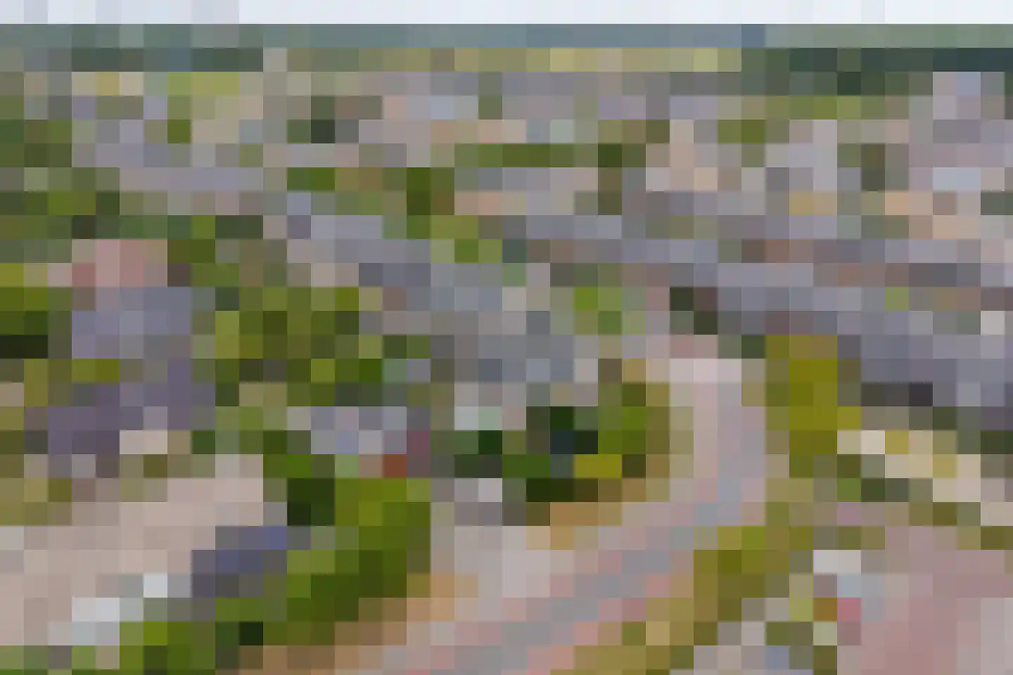 Multatulilaan 3 Voorschoten thumbnail 63