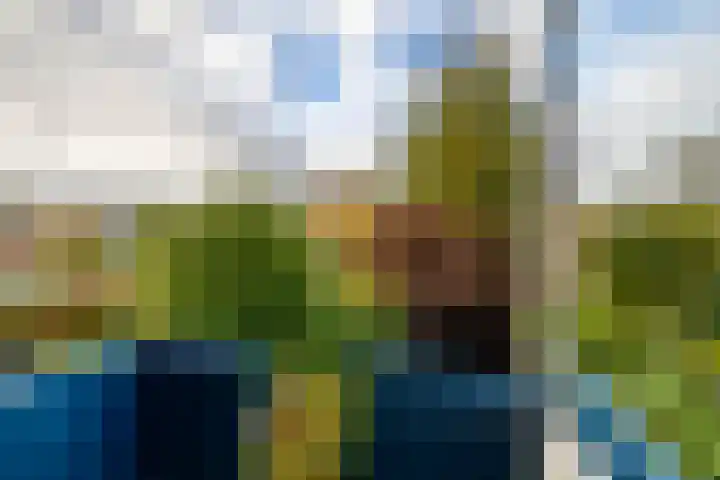 Multatulilaan 34 Haren Gn thumbnail 19