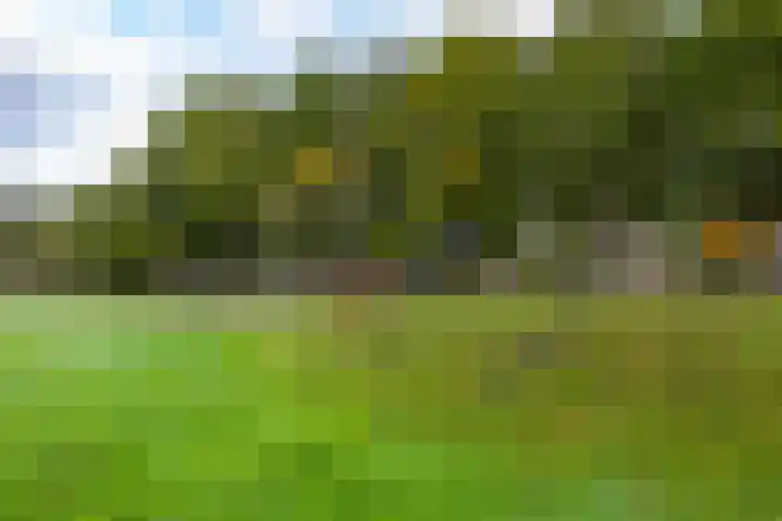 Multatulilaan 34 Haren Gn thumbnail 26