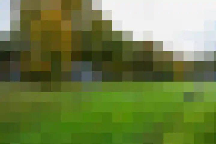 Multatulilaan 34 Haren Gn thumbnail 4