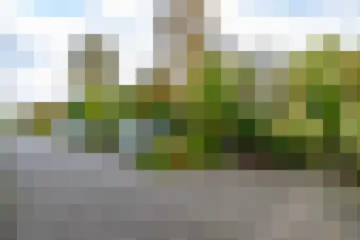 Multatulilaan 34 Haren Gn thumbnail 7