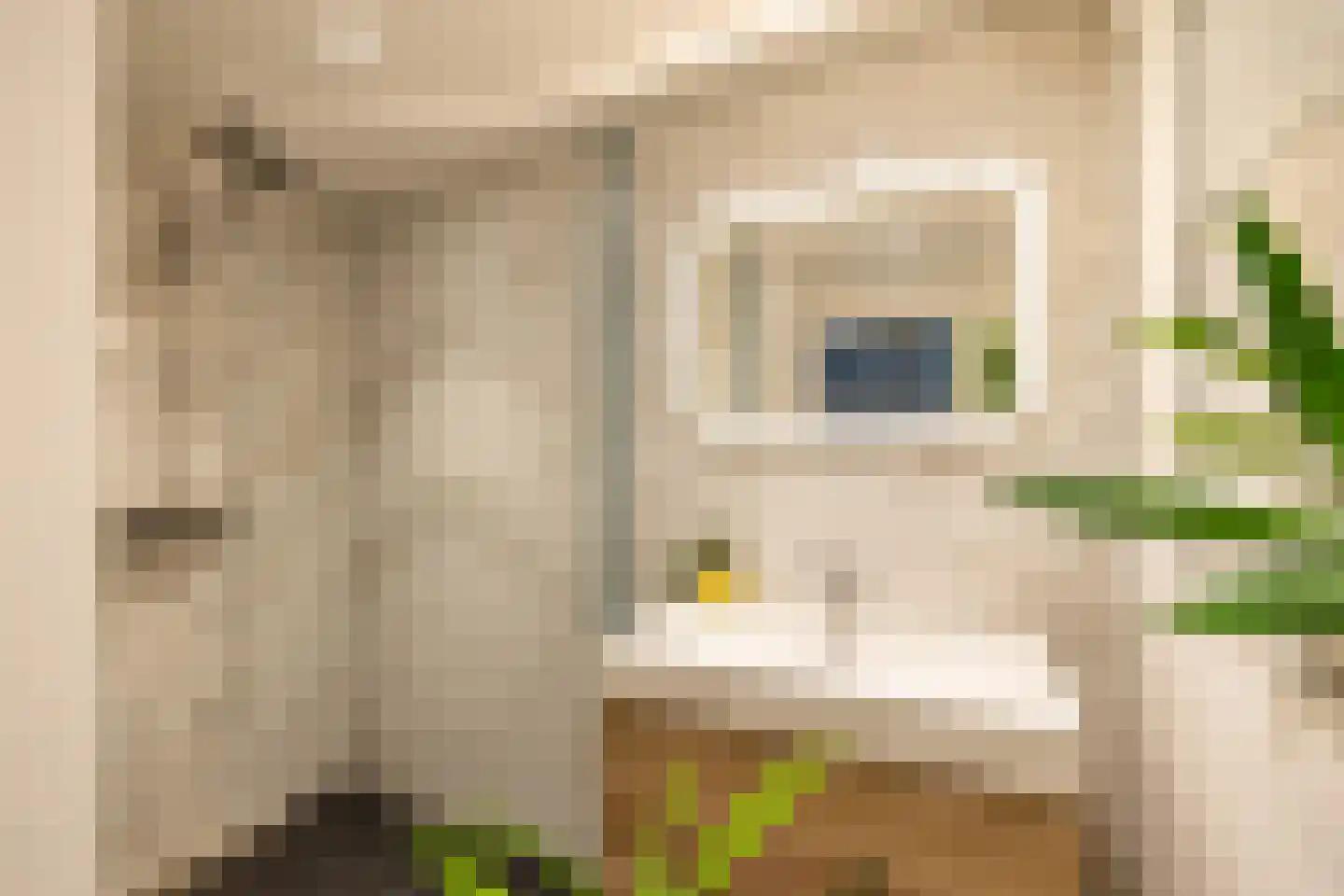 Multatulilaan 38 Haren Gn thumbnail 11