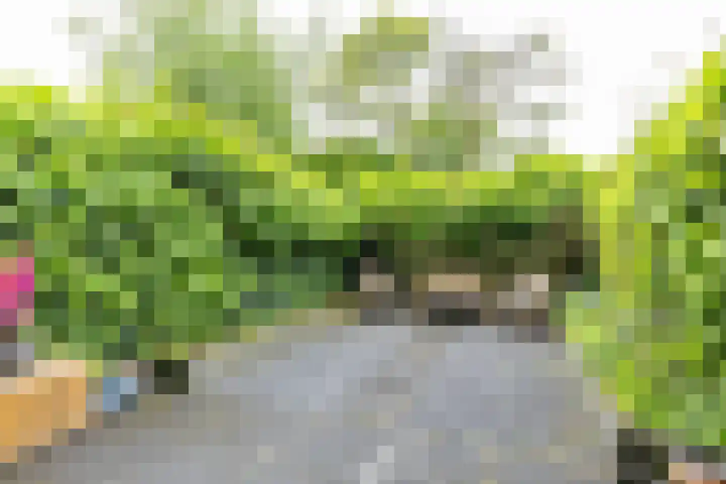 Multatulilaan 38 Haren Gn thumbnail 18